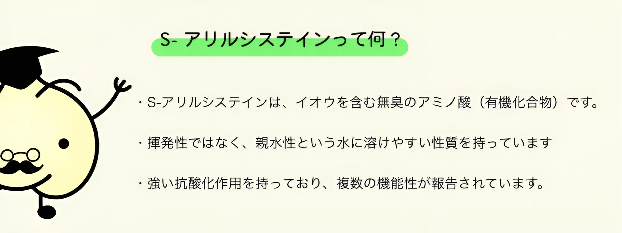S-アリルシステインの性質(無臭のアミノ酸・親水性・強い抗酸化作用)